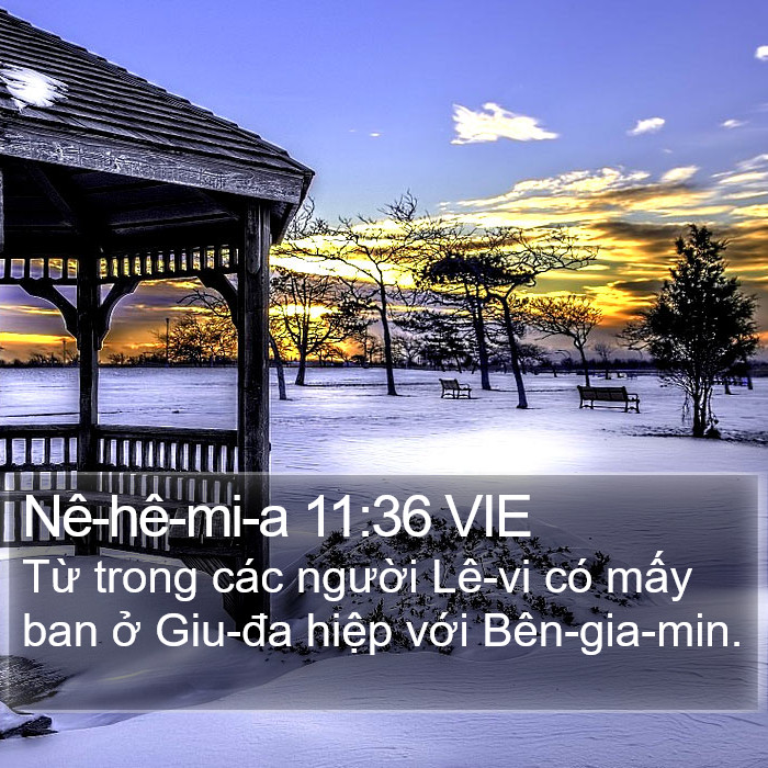 Nê-hê-mi-a 11:36 VIE Bible Study