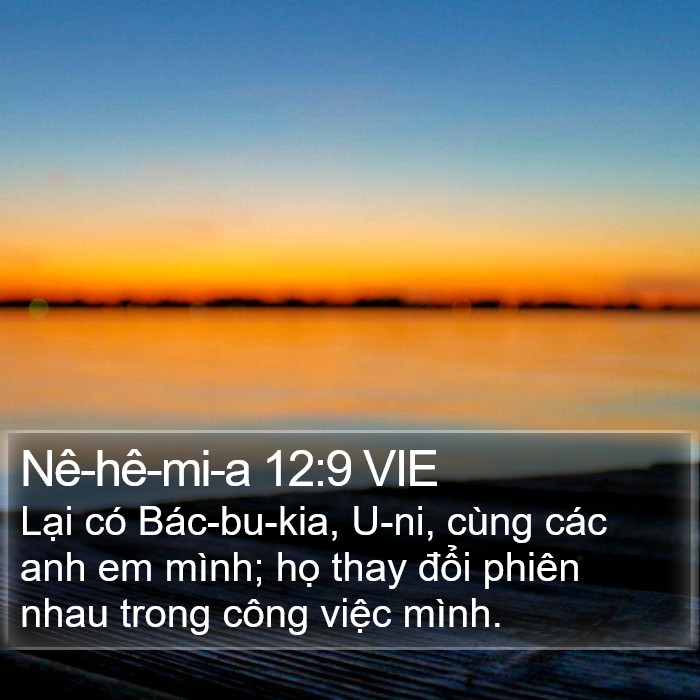 Nê-hê-mi-a 12:9 VIE Bible Study