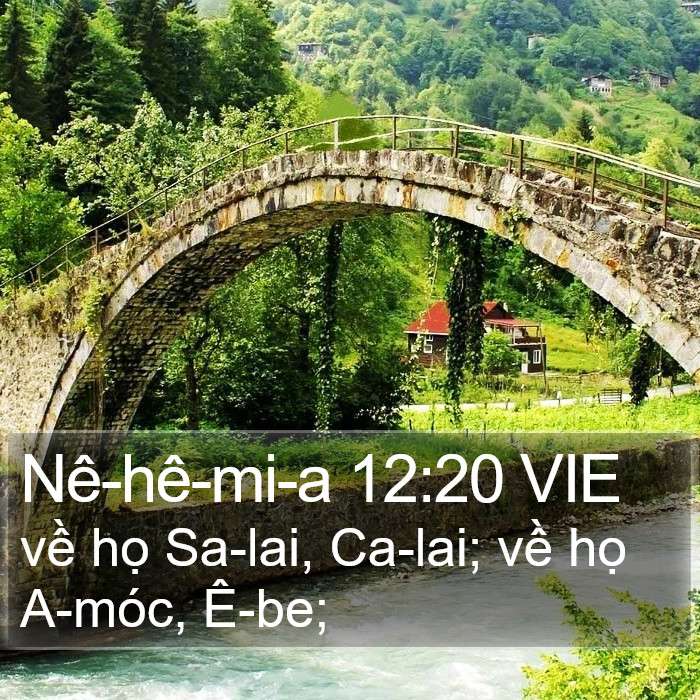 Nê-hê-mi-a 12:20 VIE Bible Study