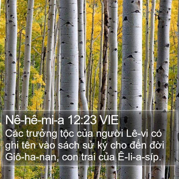 Nê-hê-mi-a 12:23 VIE Bible Study