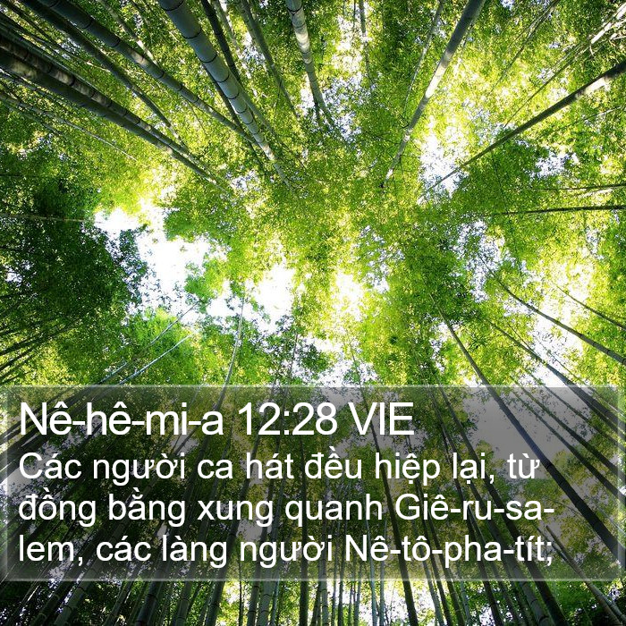 Nê-hê-mi-a 12:28 VIE Bible Study