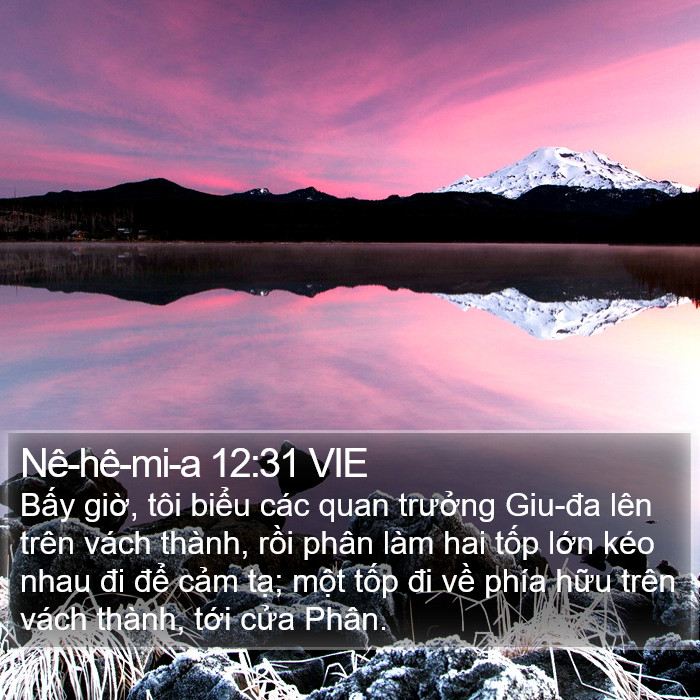 Nê-hê-mi-a 12:31 VIE Bible Study