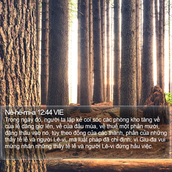 Nê-hê-mi-a 12:44 VIE Bible Study