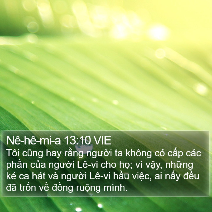 Nê-hê-mi-a 13:10 VIE Bible Study