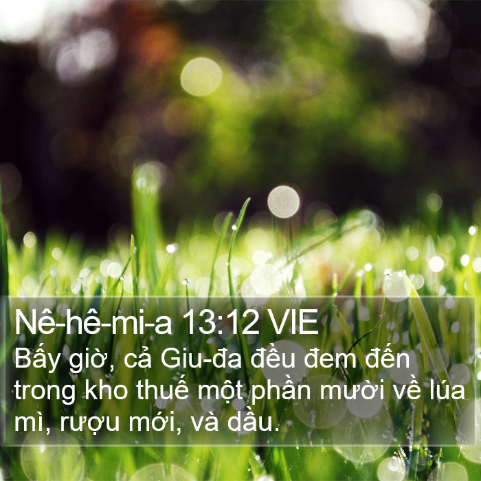 Nê-hê-mi-a 13:12 VIE Bible Study