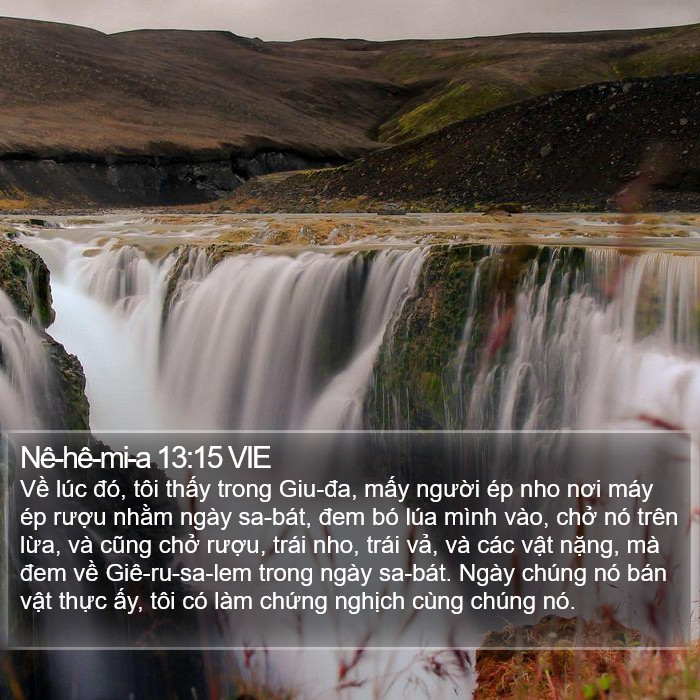 Nê-hê-mi-a 13:15 VIE Bible Study