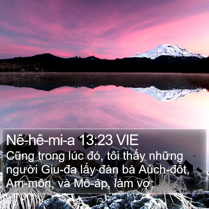 Nê-hê-mi-a 13:23 VIE Bible Study