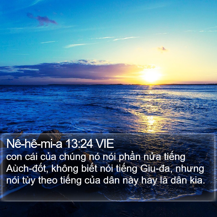 Nê-hê-mi-a 13:24 VIE Bible Study