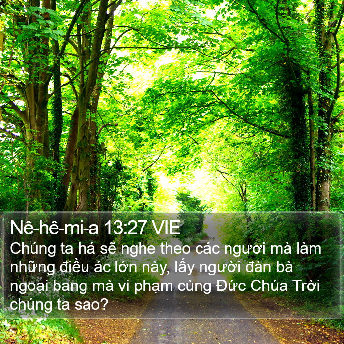 Nê-hê-mi-a 13:27 VIE Bible Study