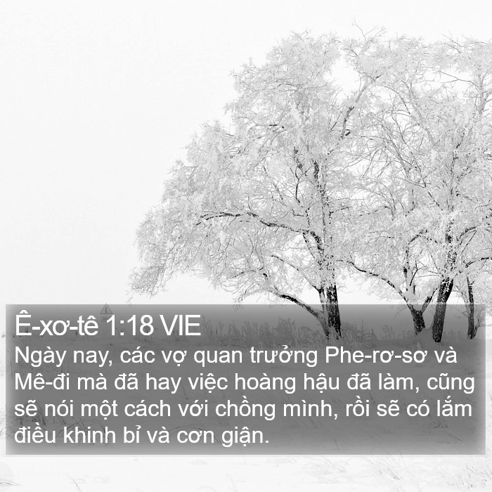 Ê-xơ-tê 1:18 VIE Bible Study