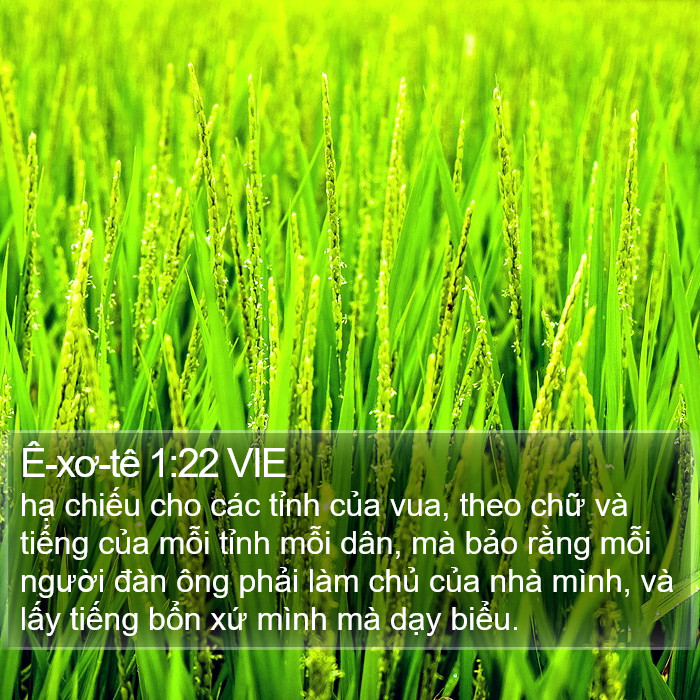 Ê-xơ-tê 1:22 VIE Bible Study