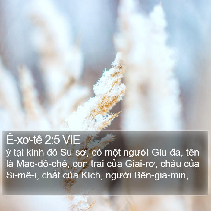 Ê-xơ-tê 2:5 VIE Bible Study