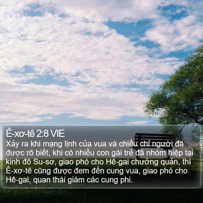 Ê-xơ-tê 2:8 VIE Bible Study
