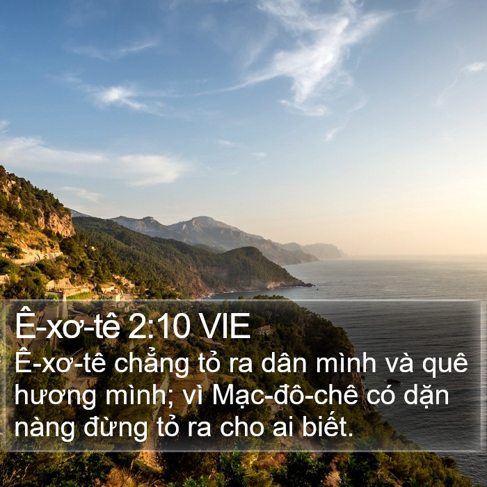 Ê-xơ-tê 2:10 VIE Bible Study