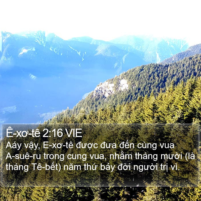 Ê-xơ-tê 2:16 VIE Bible Study