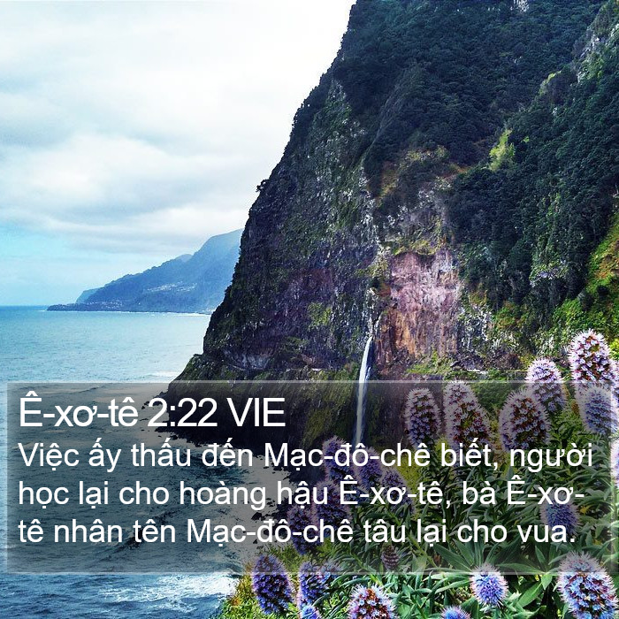 Ê-xơ-tê 2:22 VIE Bible Study
