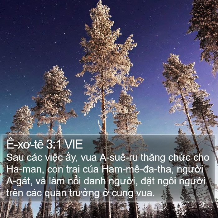 Ê-xơ-tê 3:1 VIE Bible Study