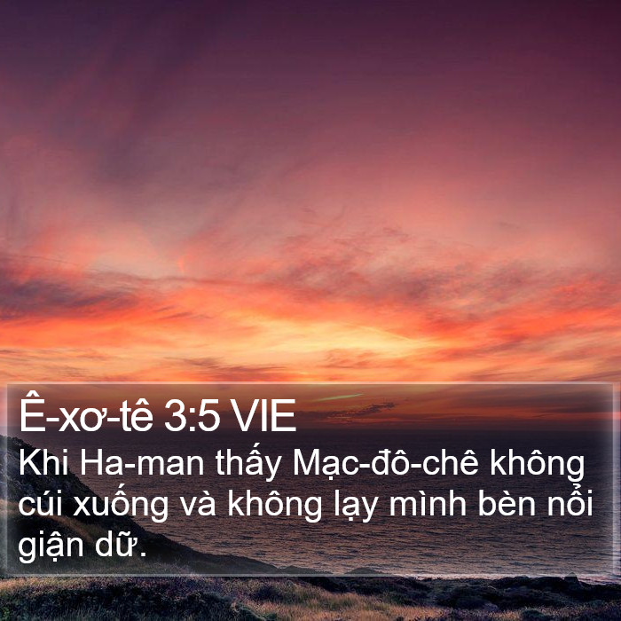 Ê-xơ-tê 3:5 VIE Bible Study