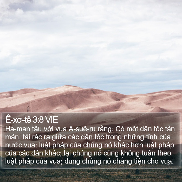Ê-xơ-tê 3:8 VIE Bible Study