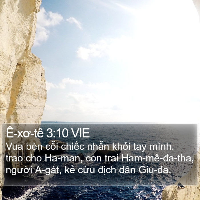 Ê-xơ-tê 3:10 VIE Bible Study