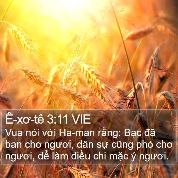 Ê-xơ-tê 3:11 VIE Bible Study