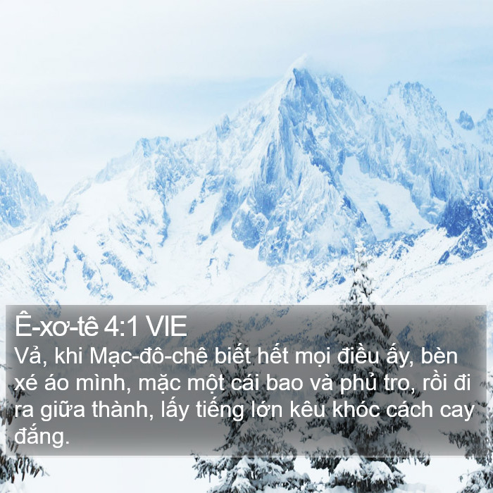 Ê-xơ-tê 4:1 VIE Bible Study