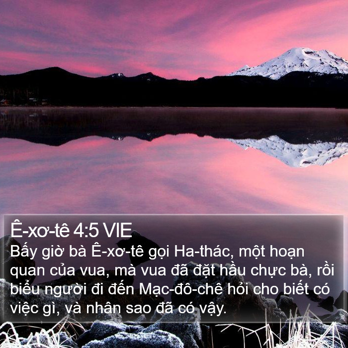 Ê-xơ-tê 4:5 VIE Bible Study