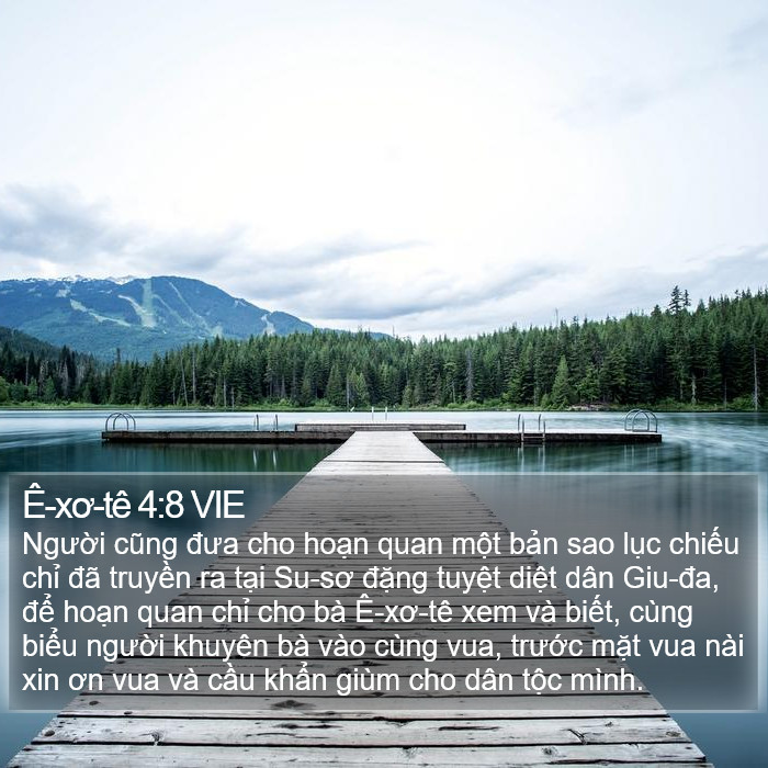 Ê-xơ-tê 4:8 VIE Bible Study