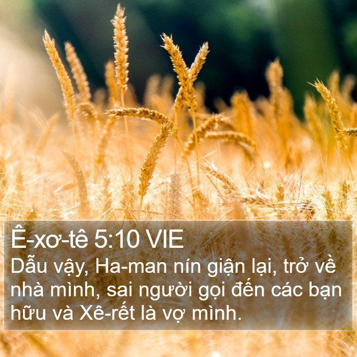 Ê-xơ-tê 5:10 VIE Bible Study