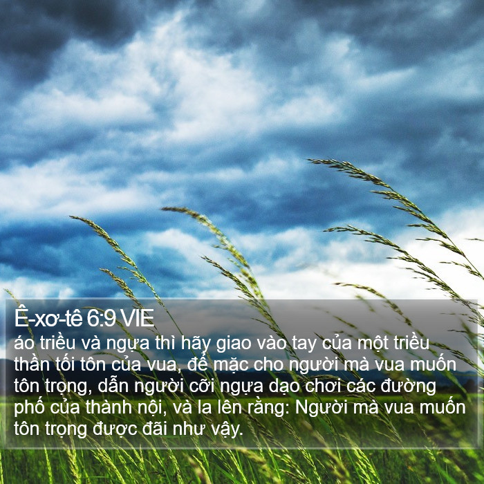 Ê-xơ-tê 6:9 VIE Bible Study