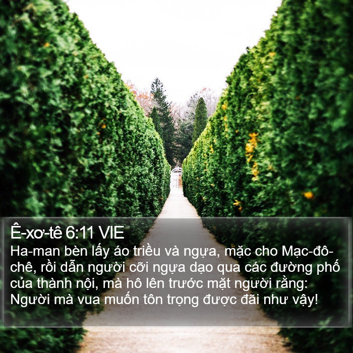 Ê-xơ-tê 6:11 VIE Bible Study