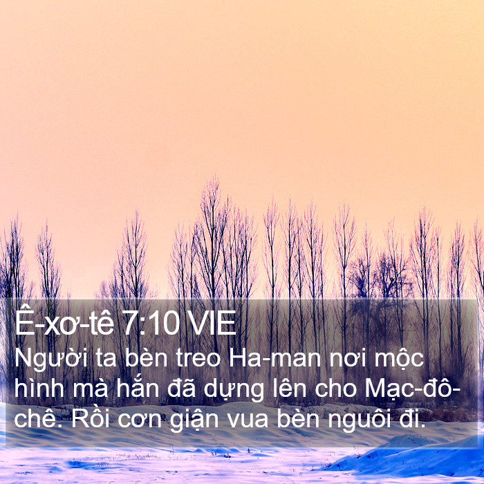 Ê-xơ-tê 7:10 VIE Bible Study