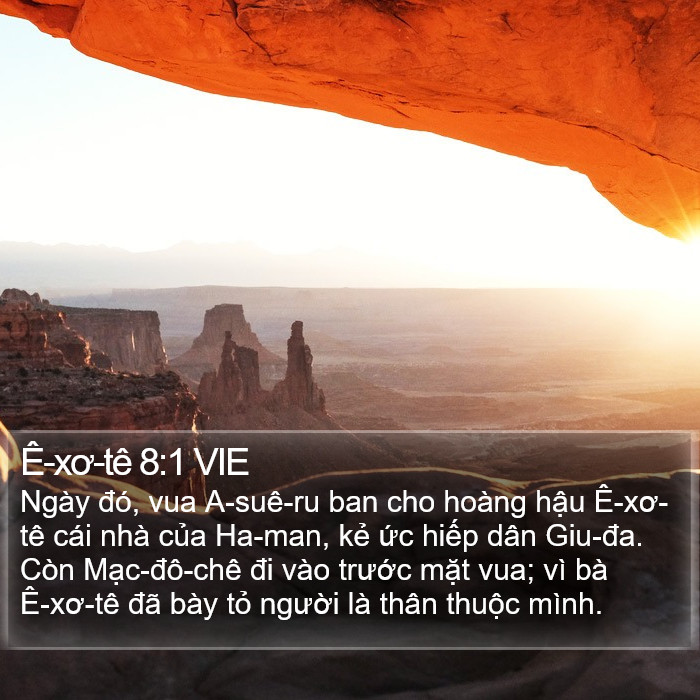 Ê-xơ-tê 8:1 VIE Bible Study