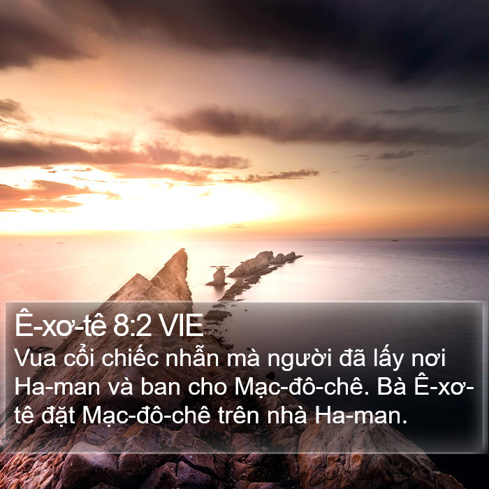 Ê-xơ-tê 8:2 VIE Bible Study