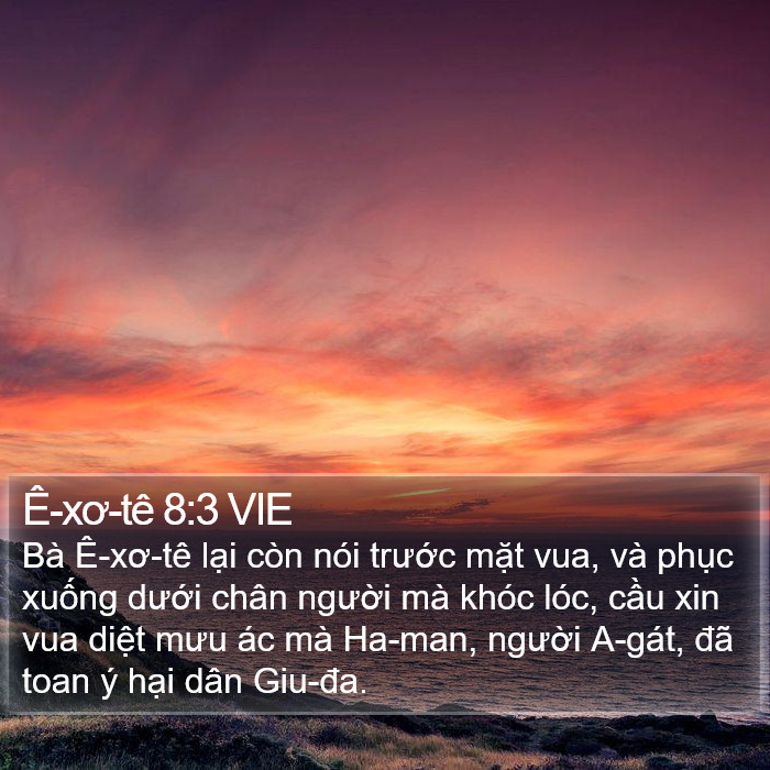 Ê-xơ-tê 8:3 VIE Bible Study