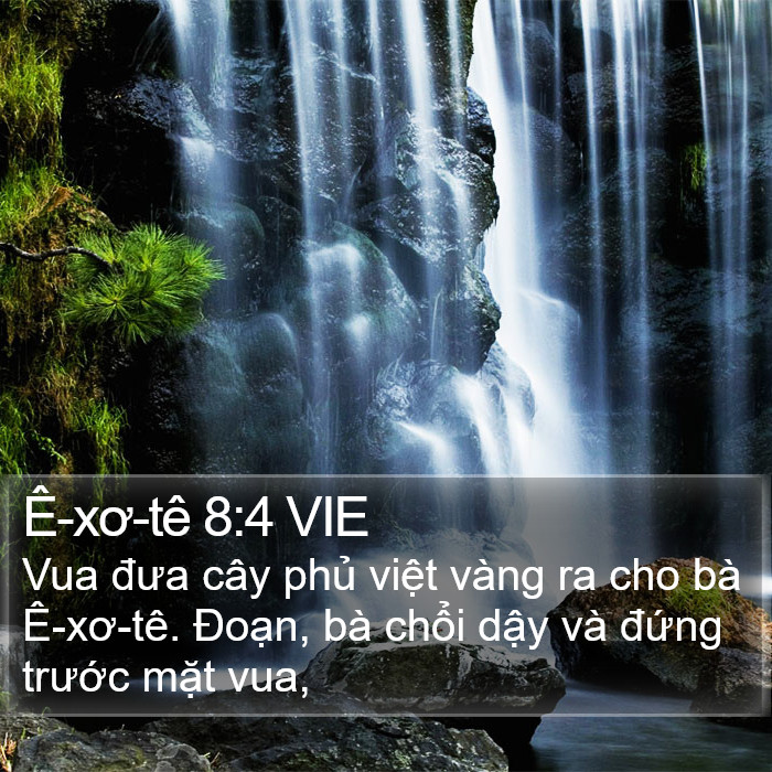 Ê-xơ-tê 8:4 VIE Bible Study