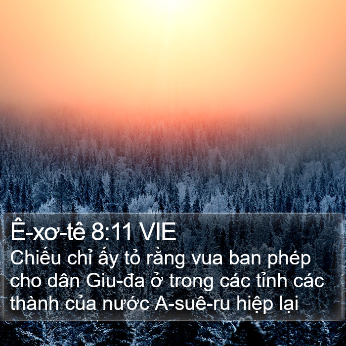 Ê-xơ-tê 8:11 VIE Bible Study