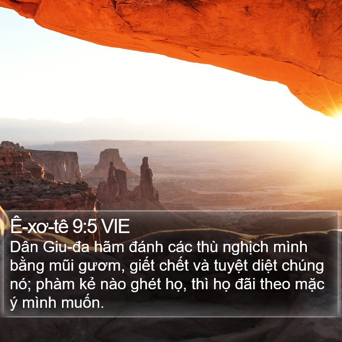 Ê-xơ-tê 9:5 VIE Bible Study