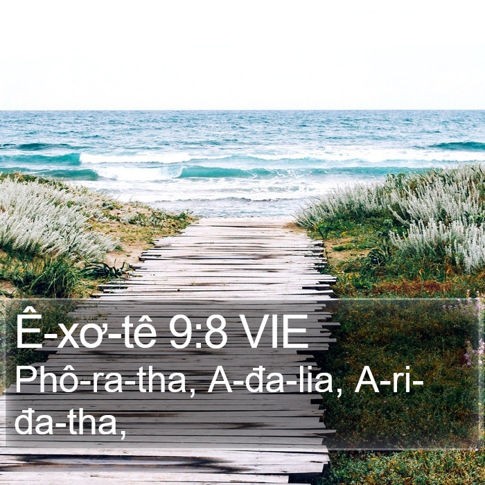 Ê-xơ-tê 9:8 VIE Bible Study