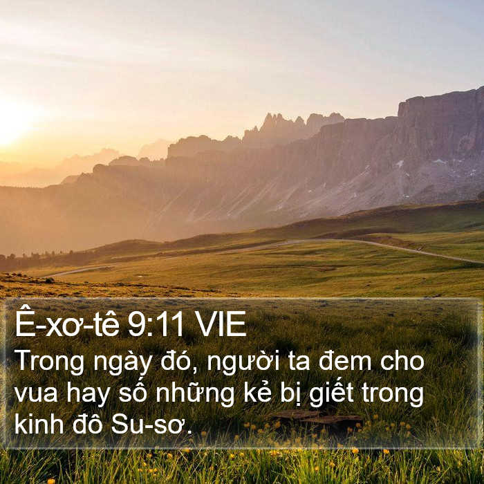Ê-xơ-tê 9:11 VIE Bible Study