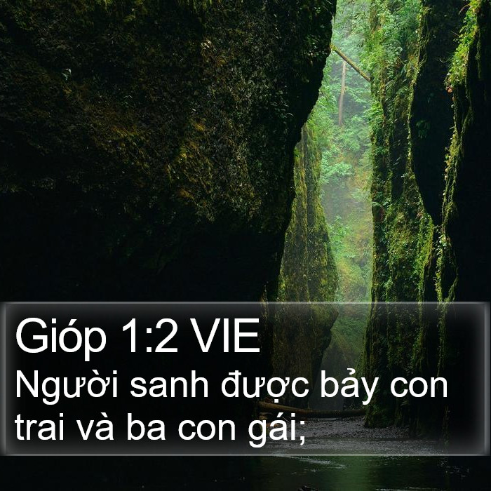 Gióp 1:2 VIE Bible Study