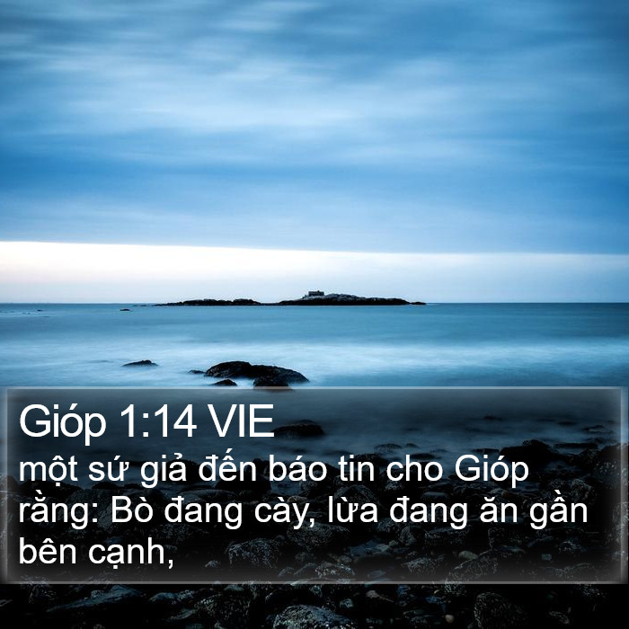 Gióp 1:14 VIE Bible Study