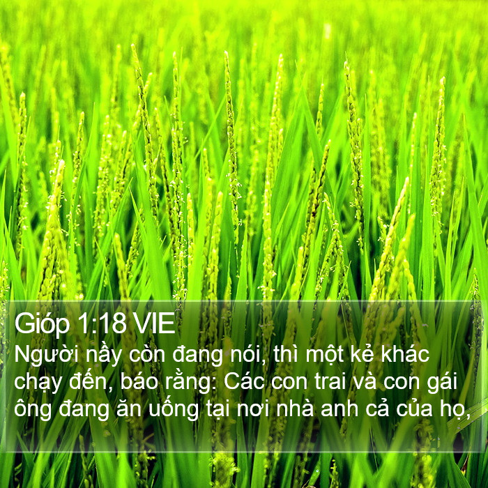 Gióp 1:18 VIE Bible Study