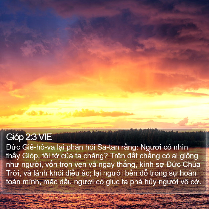 Gióp 2:3 VIE Bible Study