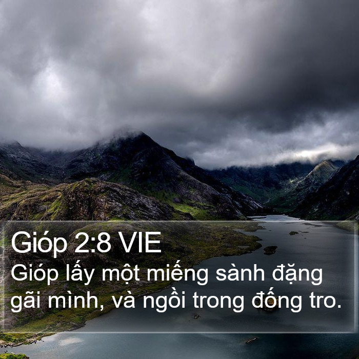 Gióp 2:8 VIE Bible Study