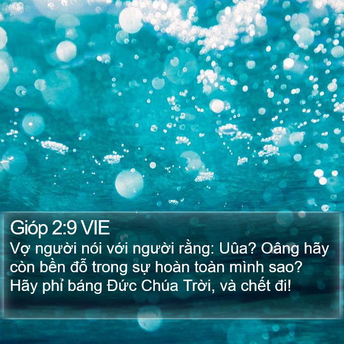 Gióp 2:9 VIE Bible Study