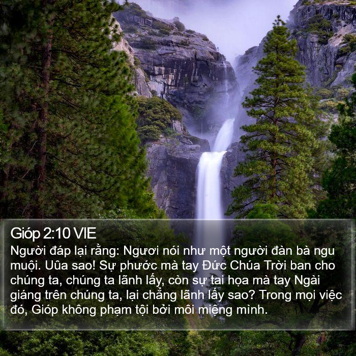 Gióp 2:10 VIE Bible Study