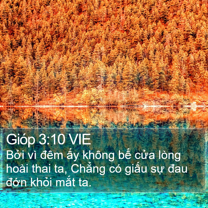 Gióp 3:10 VIE Bible Study