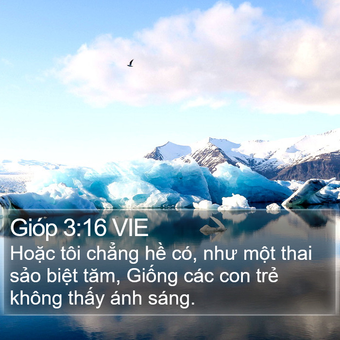 Gióp 3:16 VIE Bible Study
