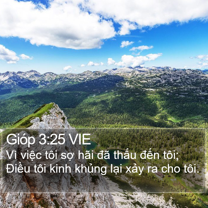 Gióp 3:25 VIE Bible Study
